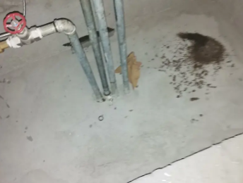 广宁卫生间测漏水价格明细