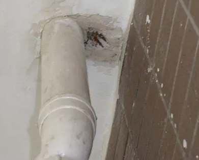 广宁漏水检测哪家好